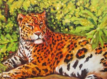 Leopard. Schubert Albina