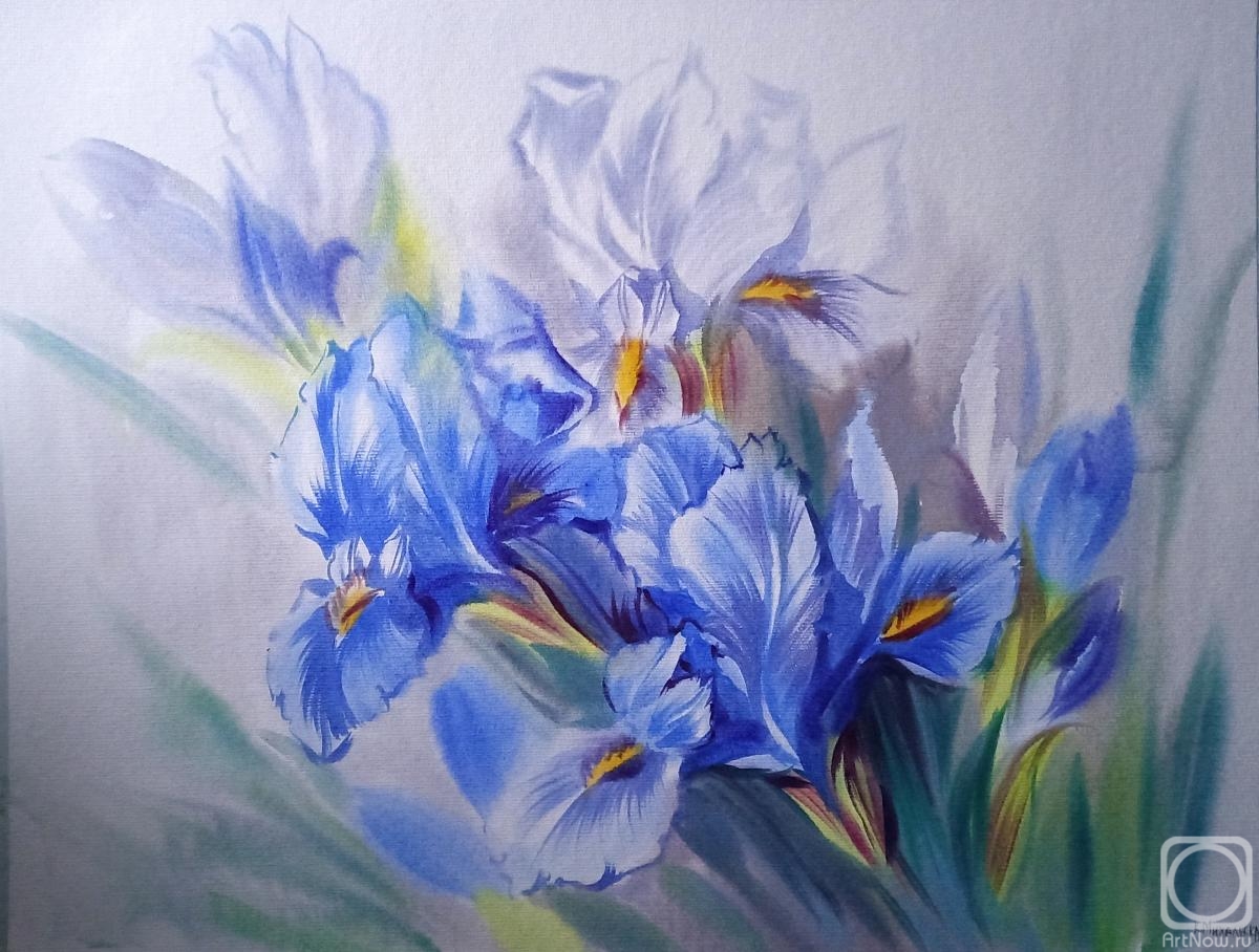 Mikhalskaya Katya. Irises in the spring