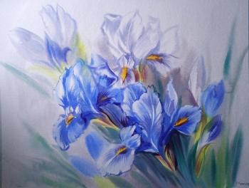Irises in the spring. Mikhalskaya Katya