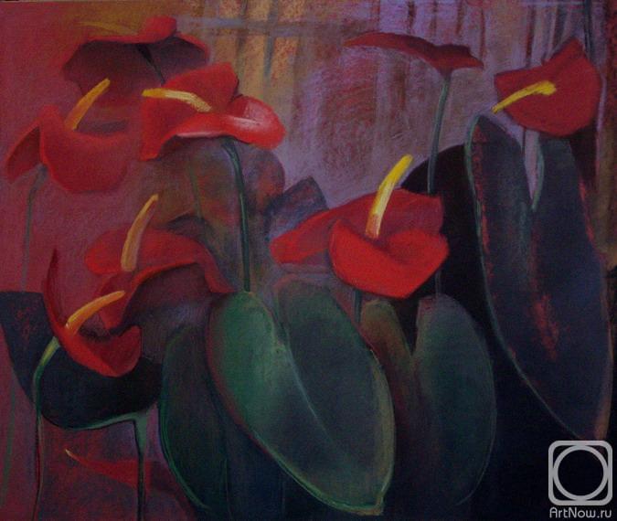 �������. ��������� ����. ��������