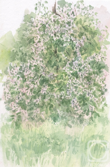 �������. ������� ����. ������