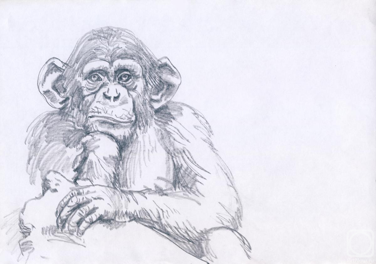 �������. ���������� �������. �����������