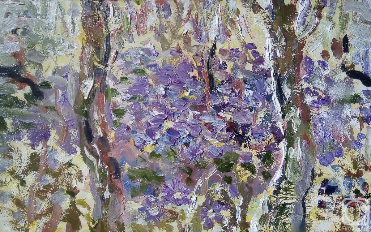 ����� ������. ������ ����� �� ������