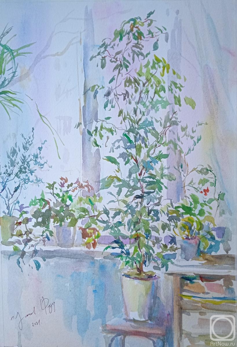 �������. ������ �����. ������ �����