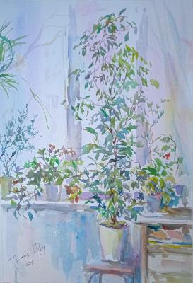 ������� ������� �����