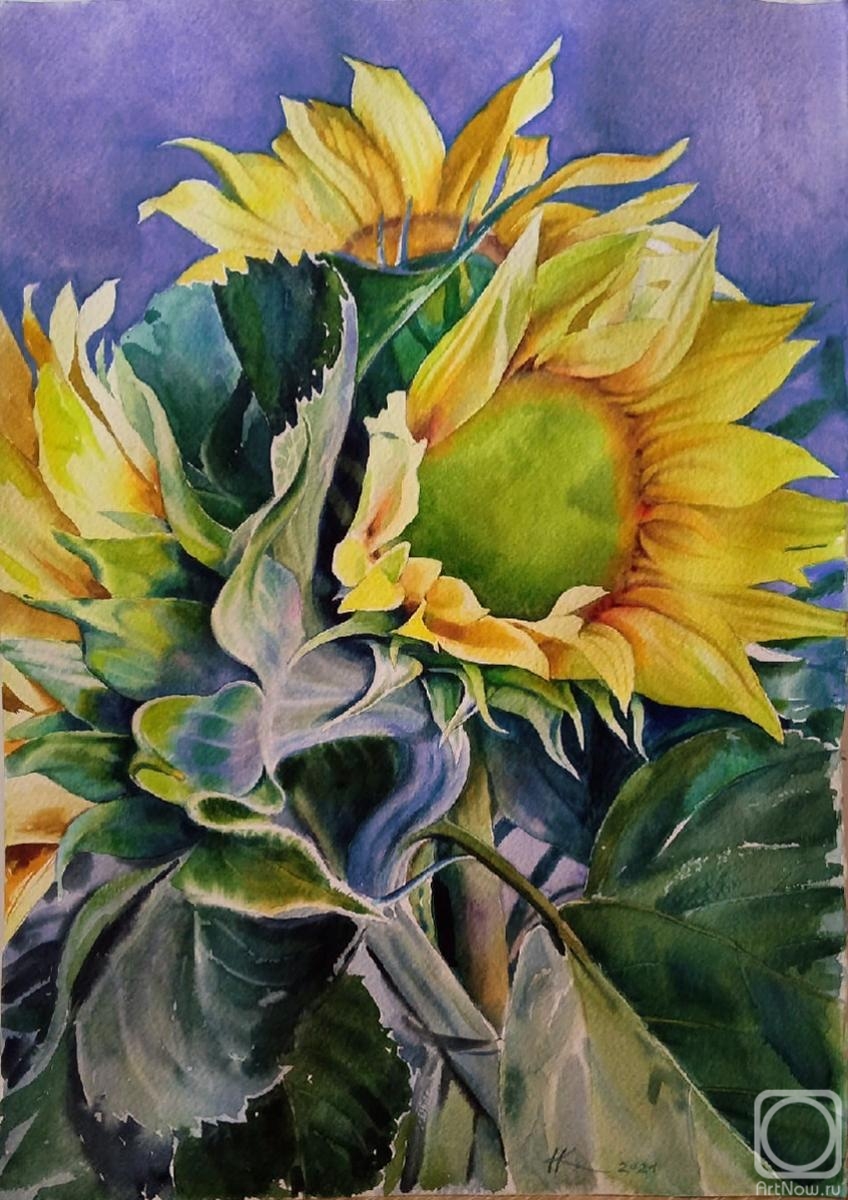 Kalinina Nadezhda. Sunflowers