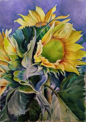 Sunflowers. Kalinina Nadezhda