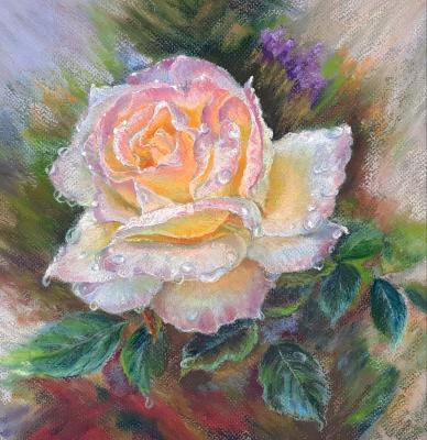 ������� ������� ���. ��������