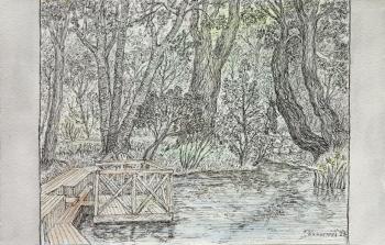 ������� ����� � �����������