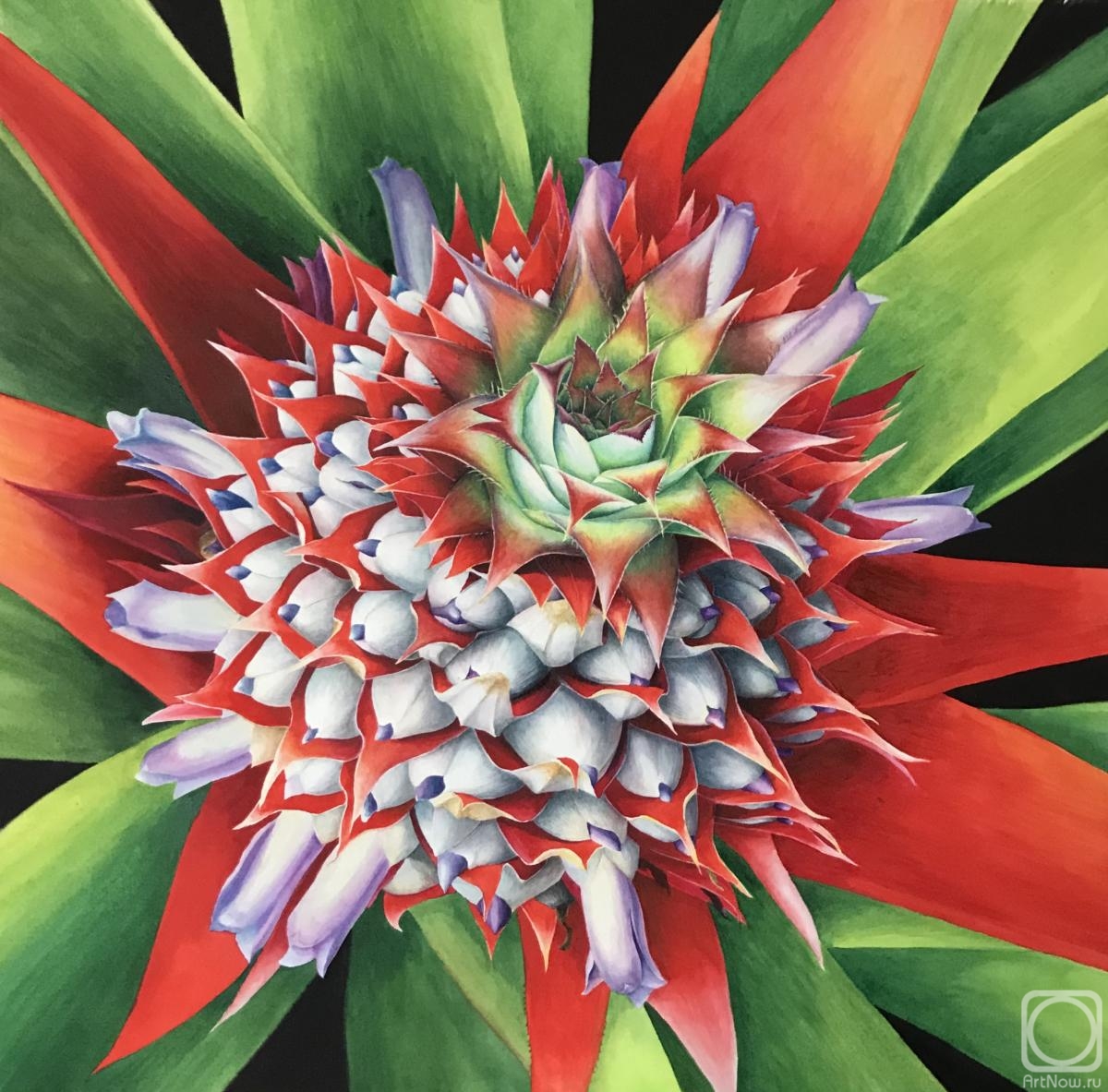 �������. ���������� �����. ������ ��������