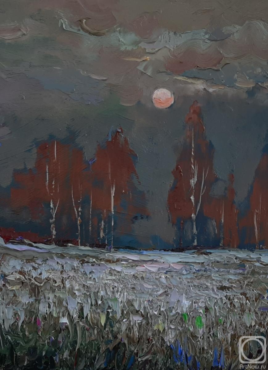 Golovchenko Alexey. In the moonlight