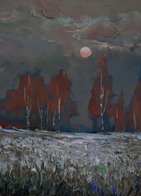 In the moonlight. Golovchenko Alexey