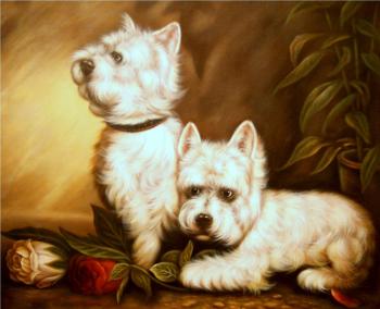 Dogs. Smorodinov Ruslan