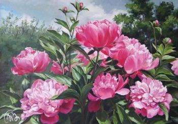 Peonies and the sky