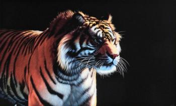 Amur tiger. Ebzeev Shaharbi