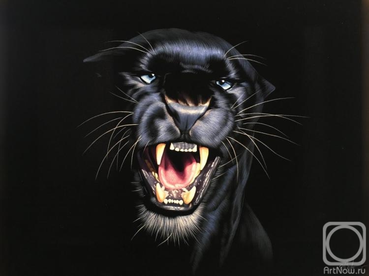 Ebzeev Shaharbi. Panther