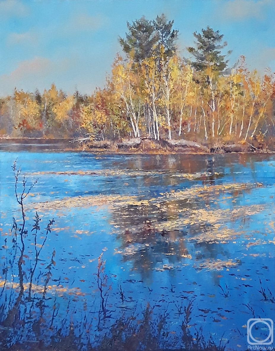 Agarkov Nikolay. Forest Lake
