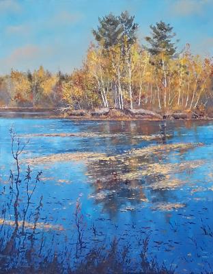 Forest Lake (A Picture For Home). Agarkov Nikolay