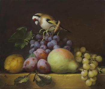 Goldfinch. Sevryukov Dmitry