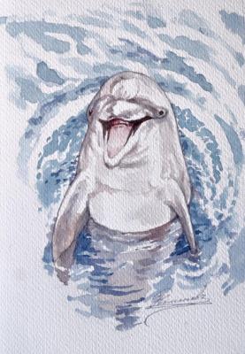 Dolphin. Kamenev Igor