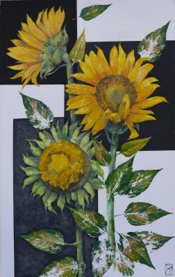 Aristova Maria Igorevna. Sunflowers