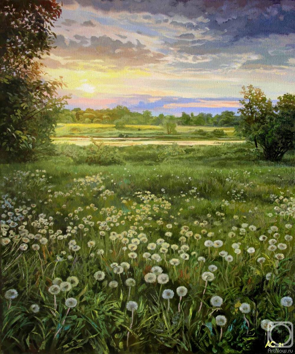 Samokhvalov Alexander. Dandelion meadow