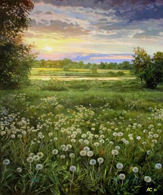 Samokhvalov Alexander Porfirevich. Dandelion meadow