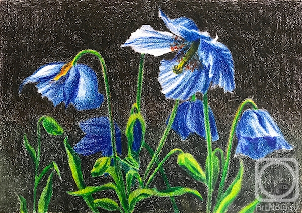 �������. �������� ������. ������� ����