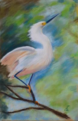 Little egret (Soft Pastel). Harlova Tatyana