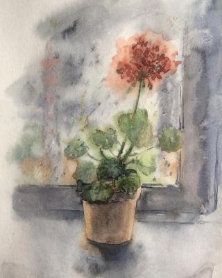 Rain (Geranium On Window). Kurnosenko Antonina