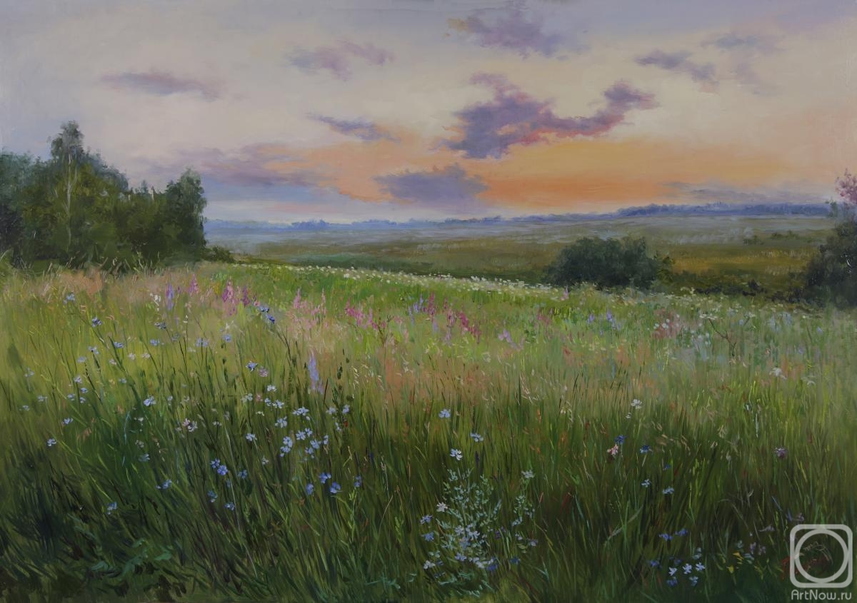 Panov Eduard. Cornflower field