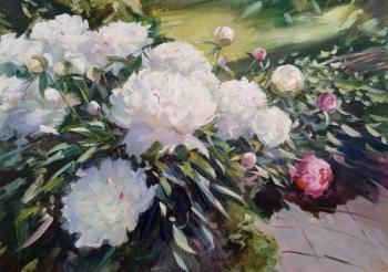 ������� ����� ������