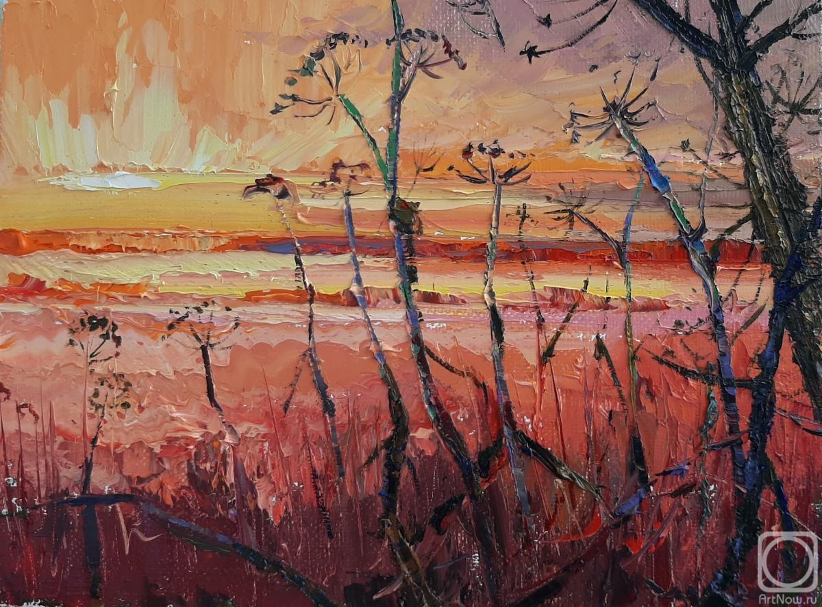 Golovchenko Alexey. How's it going in the field?