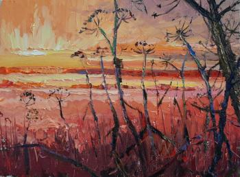 How's it going in the field?. Golovchenko Alexey