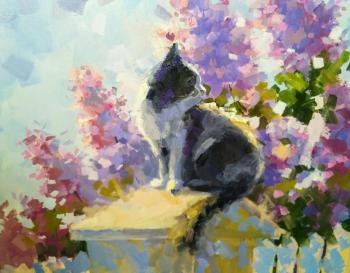 Spring cat (Black And White Cat). Ivanova Olesya