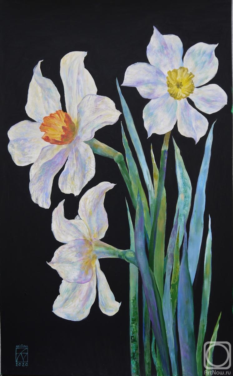 Aristova Maria. White daffodils