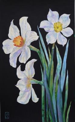 White daffodils. Aristova Maria