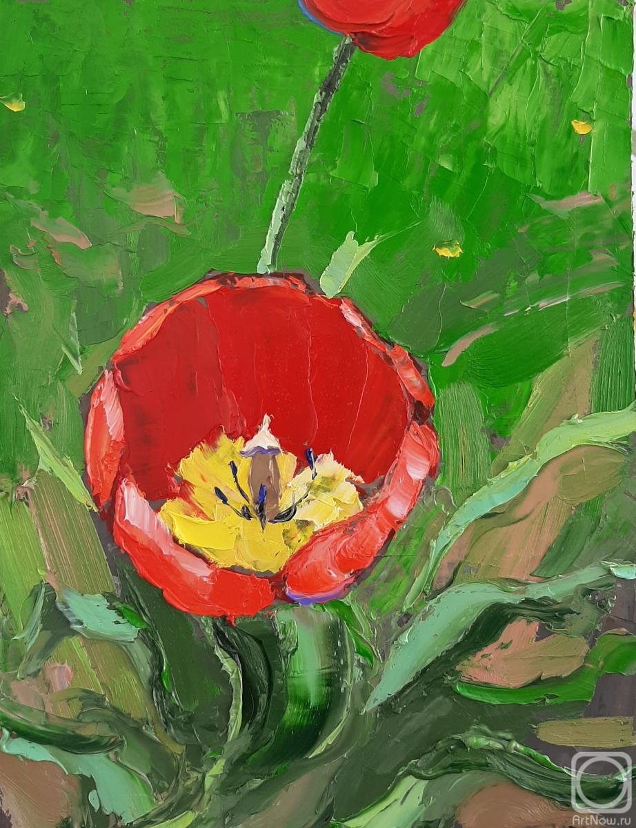 �������. ���������� �������. ��� ������� ���