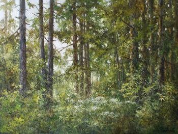 The sun in the forest. Dorofeev Sergey