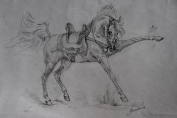 Arab Steed (Saddle). Mostyaeva Nadezhda