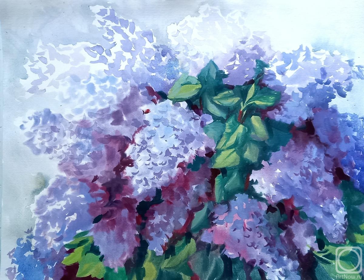 Mikhalskaya Katya. Blooming lilac