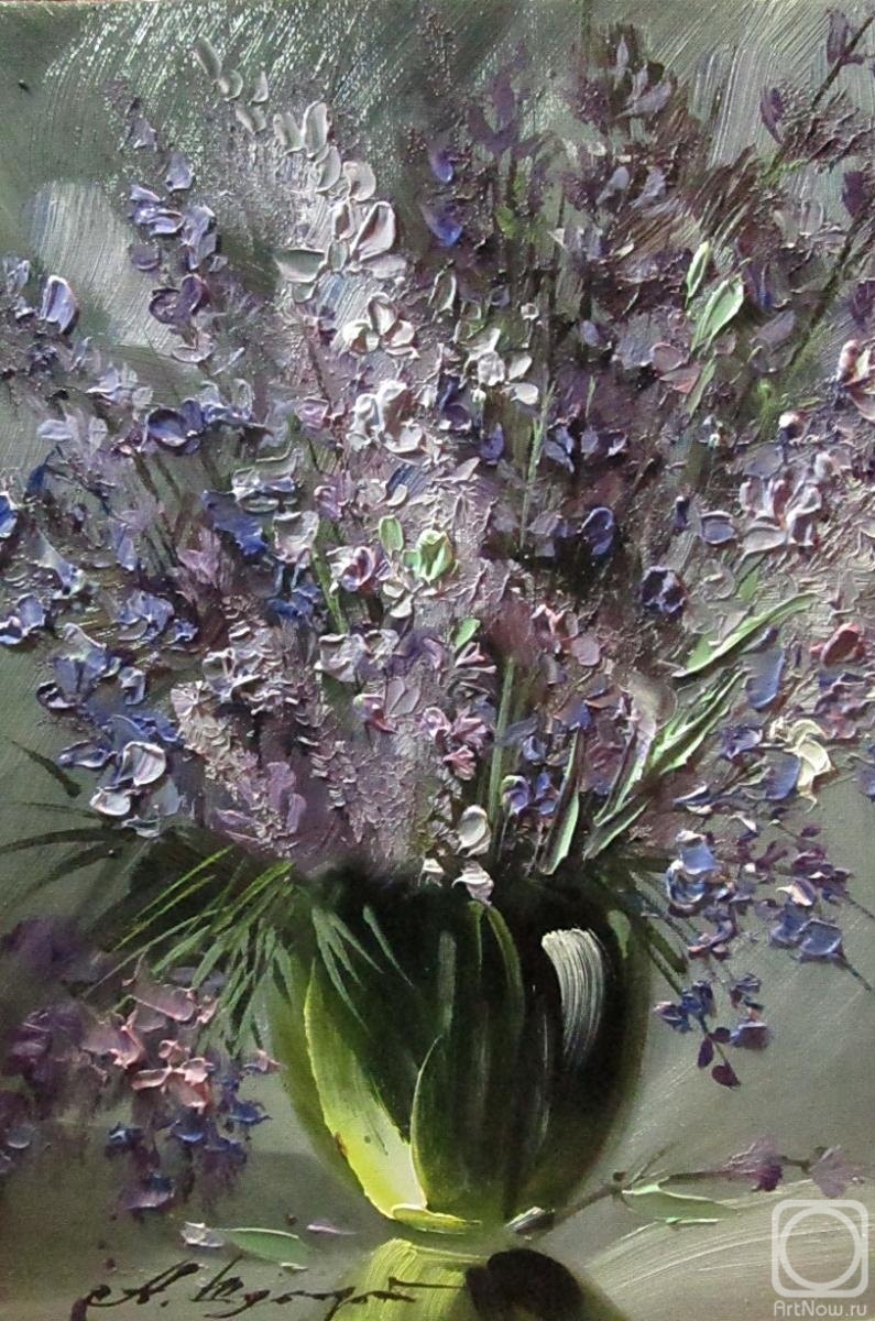 Schubert Albina. Lavender