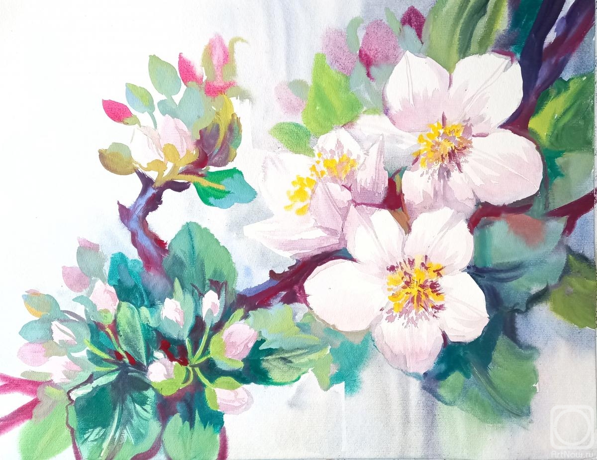 Mikhalskaya Katya. Apple tree blooms