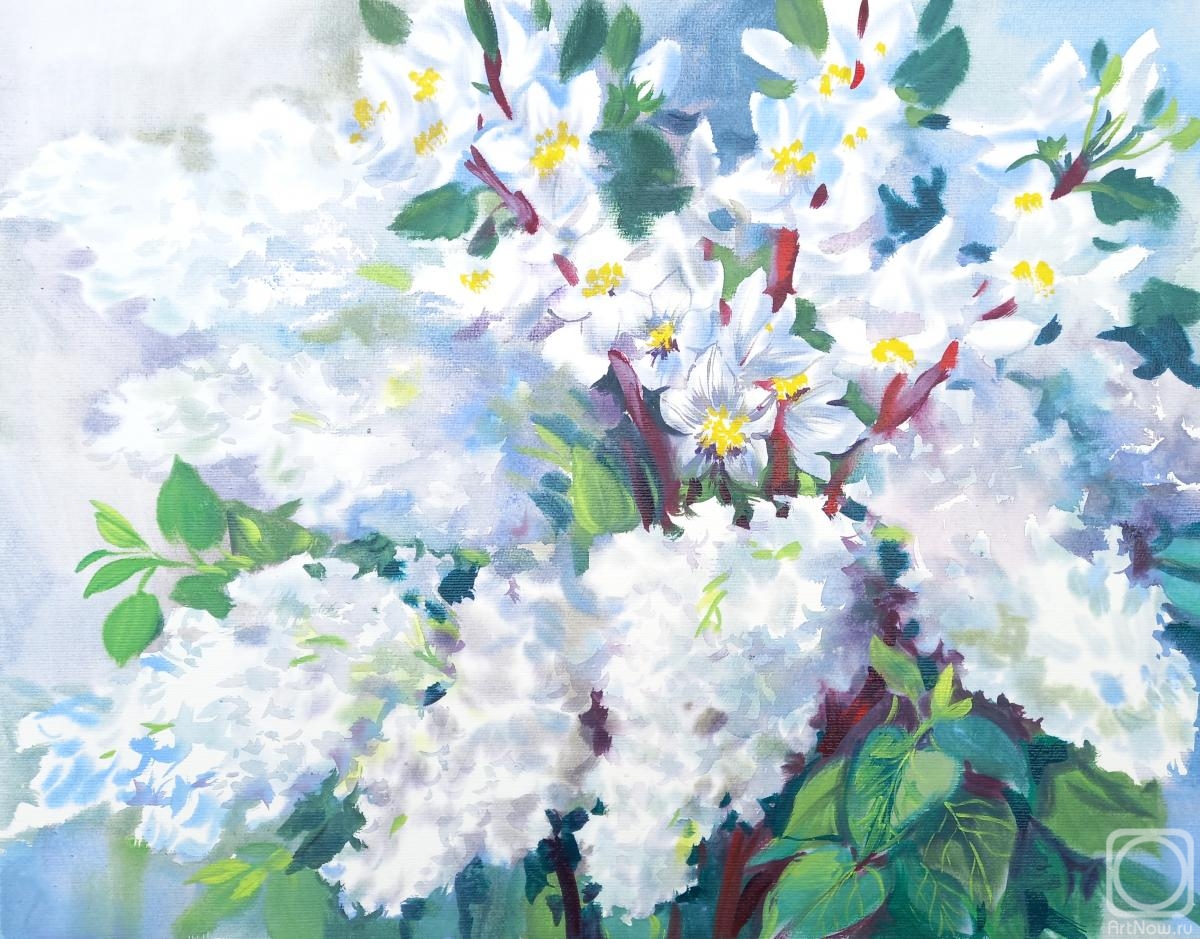 Mikhalskaya Katya. White lilac and apple tree