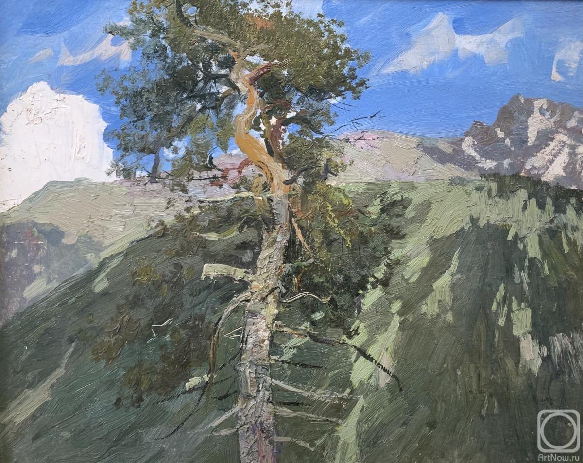 �������. ������� ����. ����� (����)