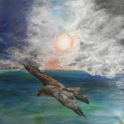 The Sea Falcon. Drakina Taniana