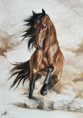 Andalusian (Andalusian Horse). Frolova Irina