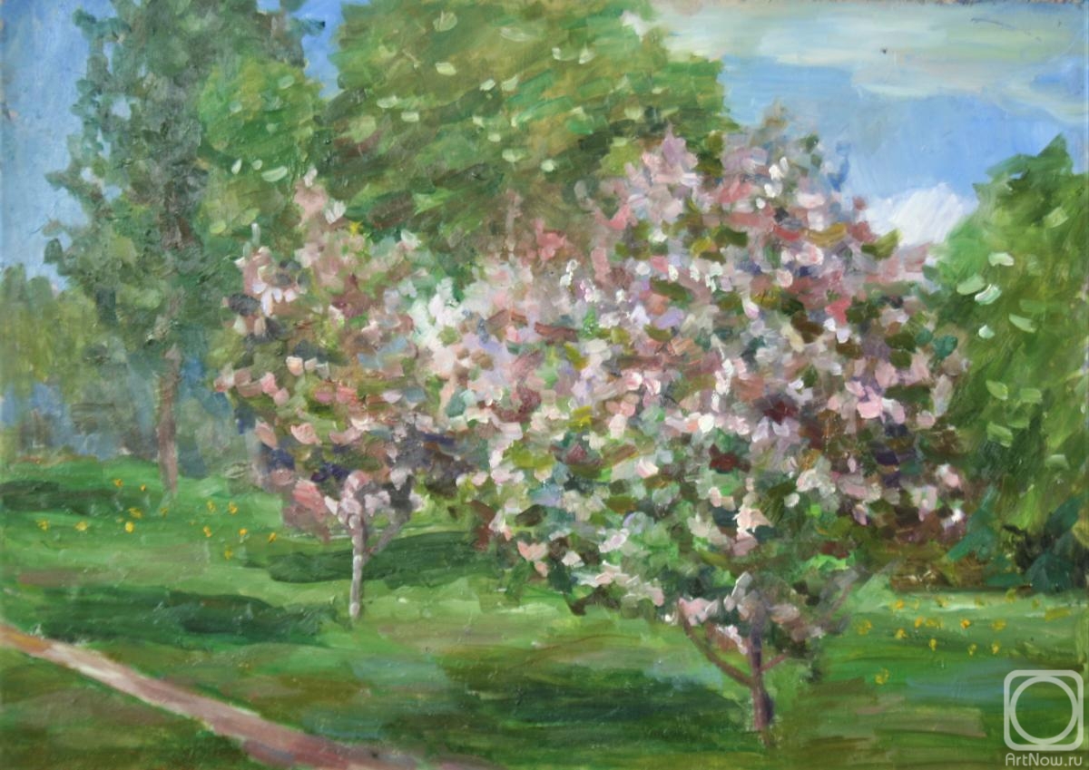 Sineva Svetlana. Rose trees
