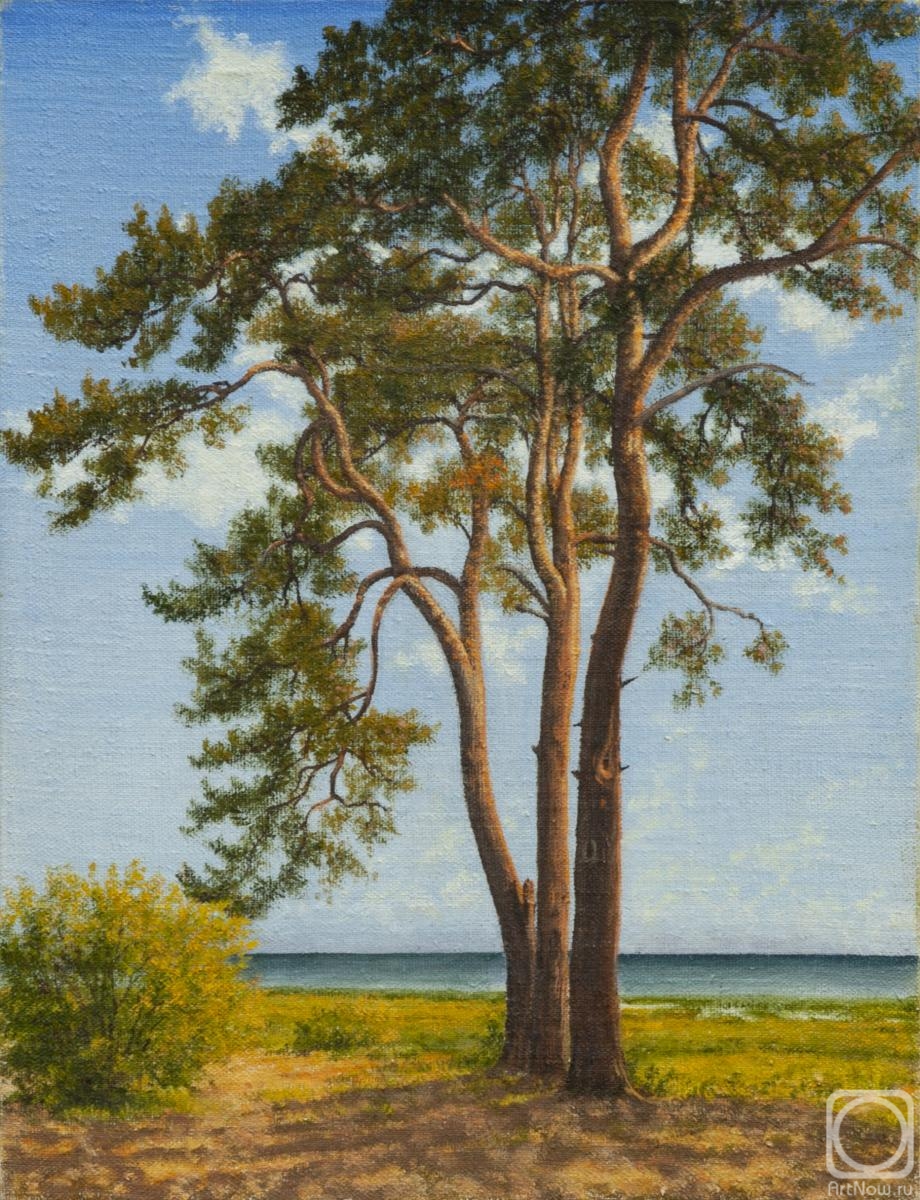 Ilyushchenko Valentina. The three pines