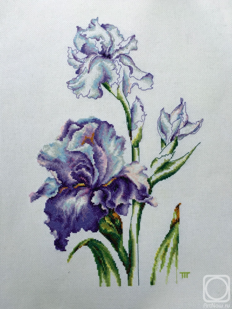 Gvozdetskaya Tatiana. Untitled